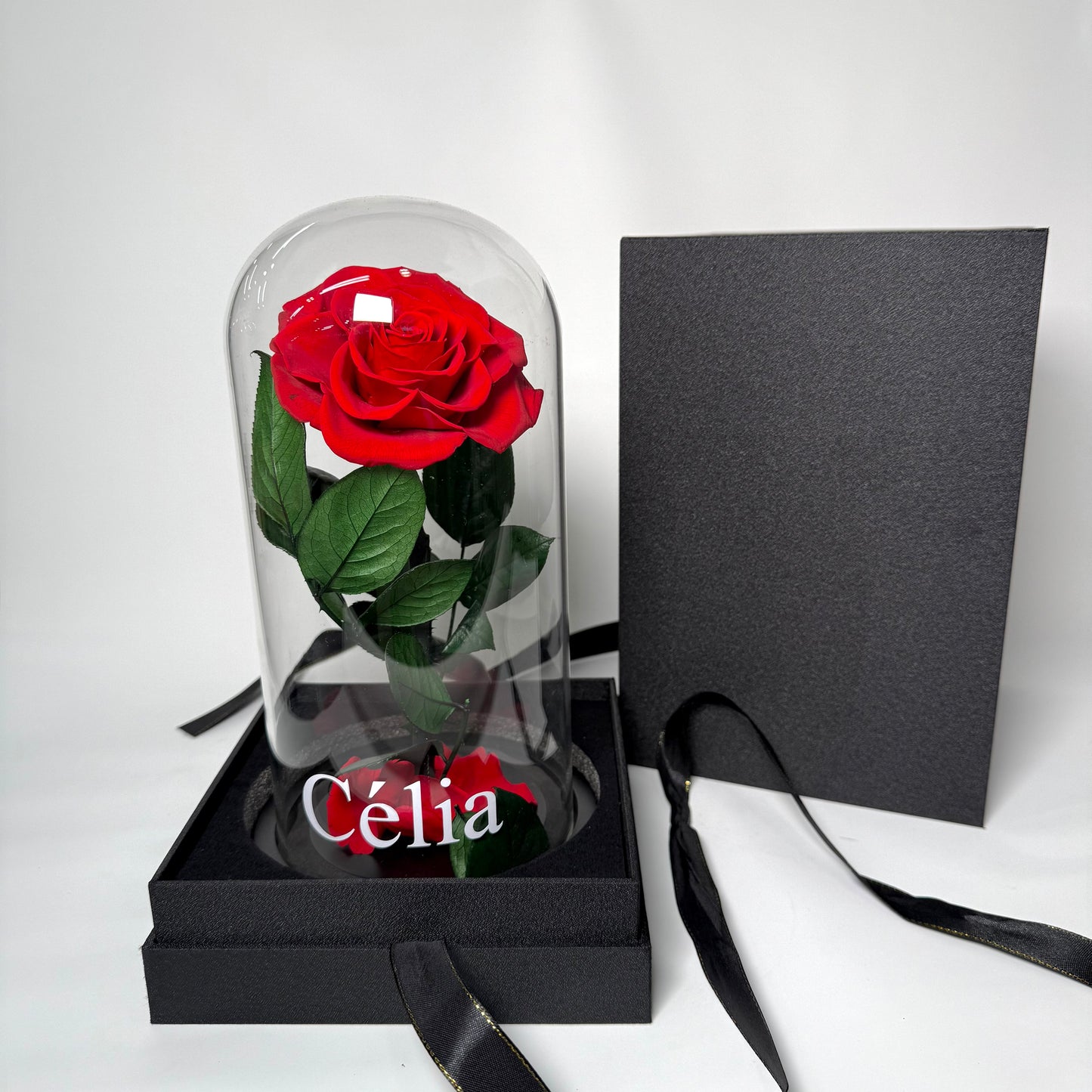 Rose Éternelle Sous Cloche Prestige 🌹