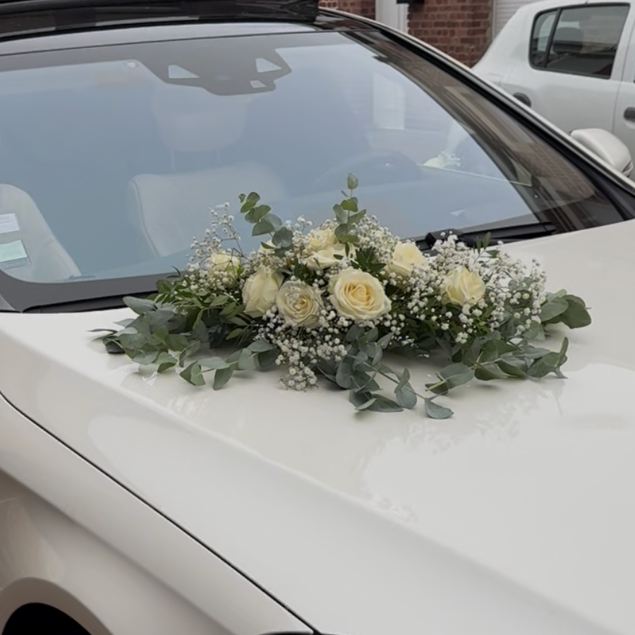Ventouse Voiture 🌹