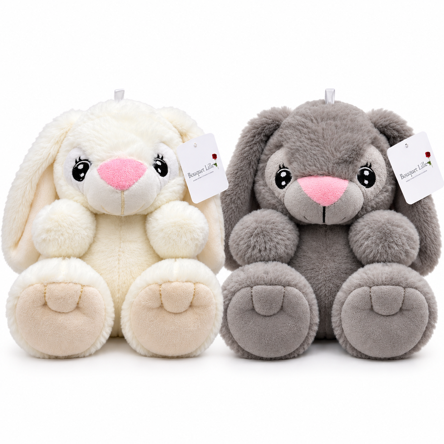 Peluche Lapin 🐰