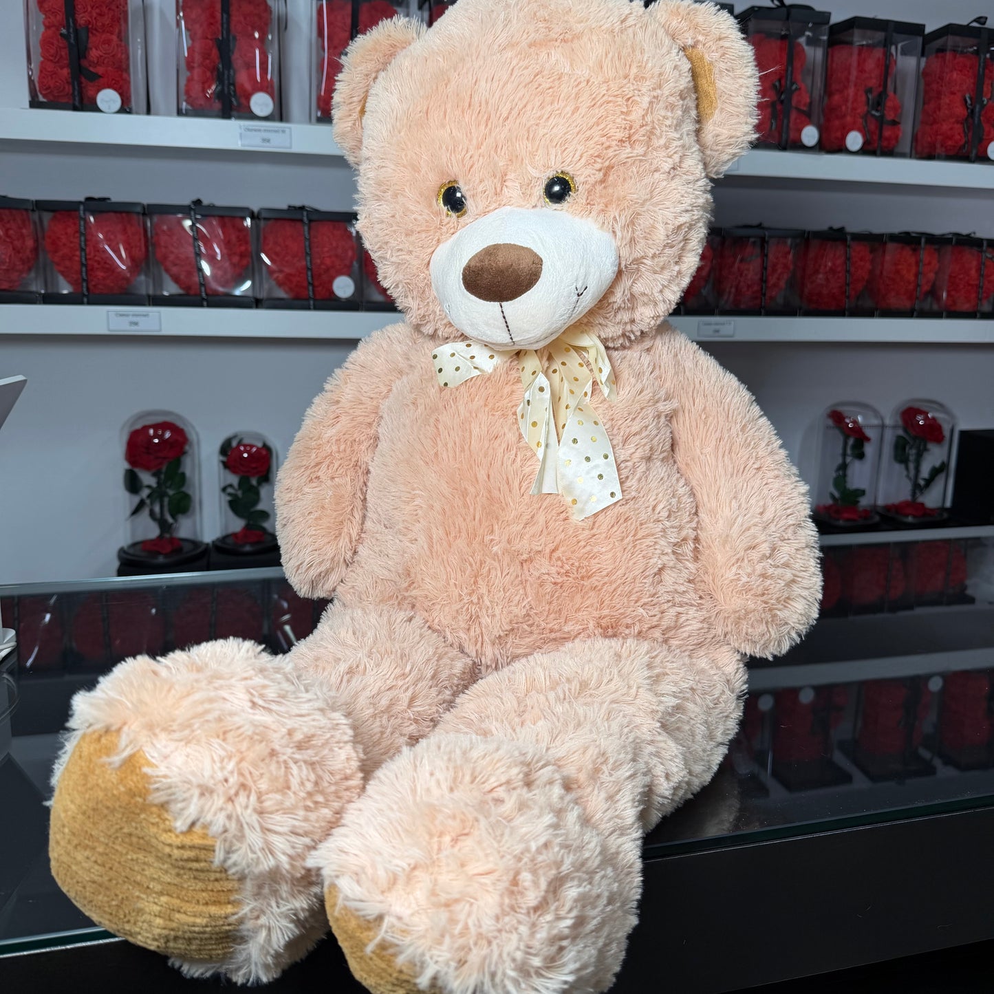 Peluche Beige 🧸 XXL