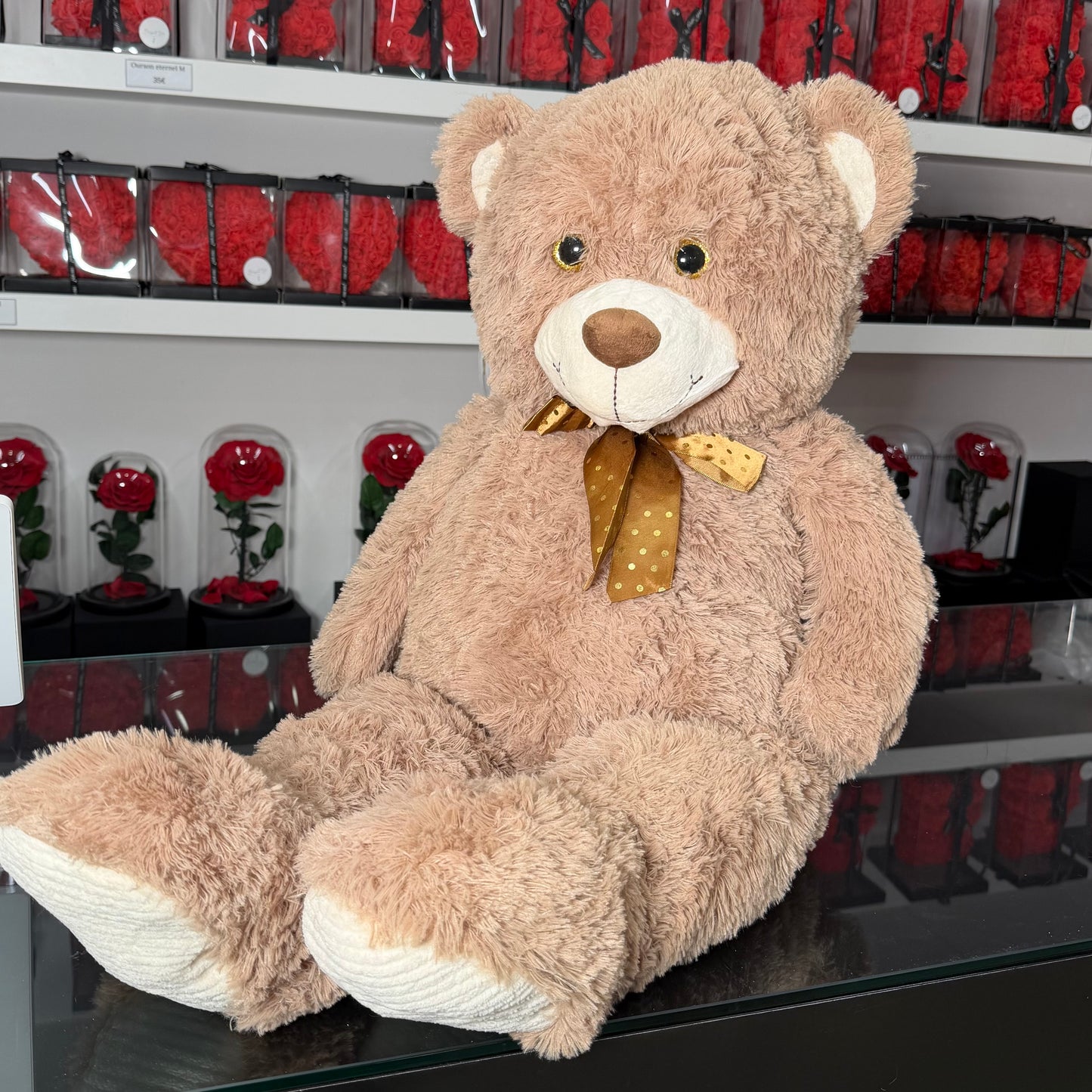 Peluche Marron 🧸 XXL