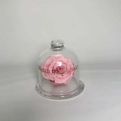 Rose Eternel🌹