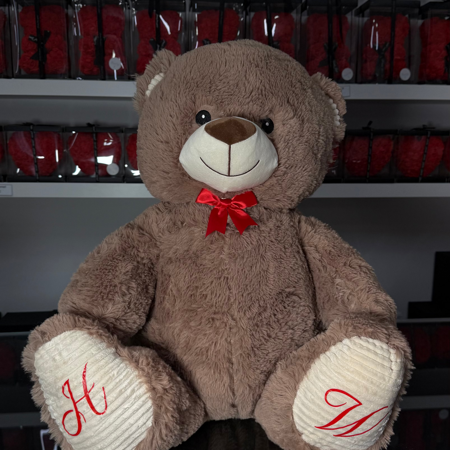 Teddy XL🧸